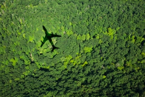shadow of airplane flying over forest 