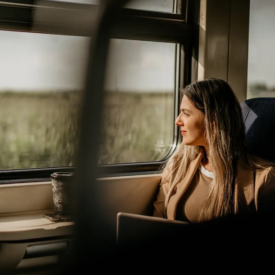Lady on a train